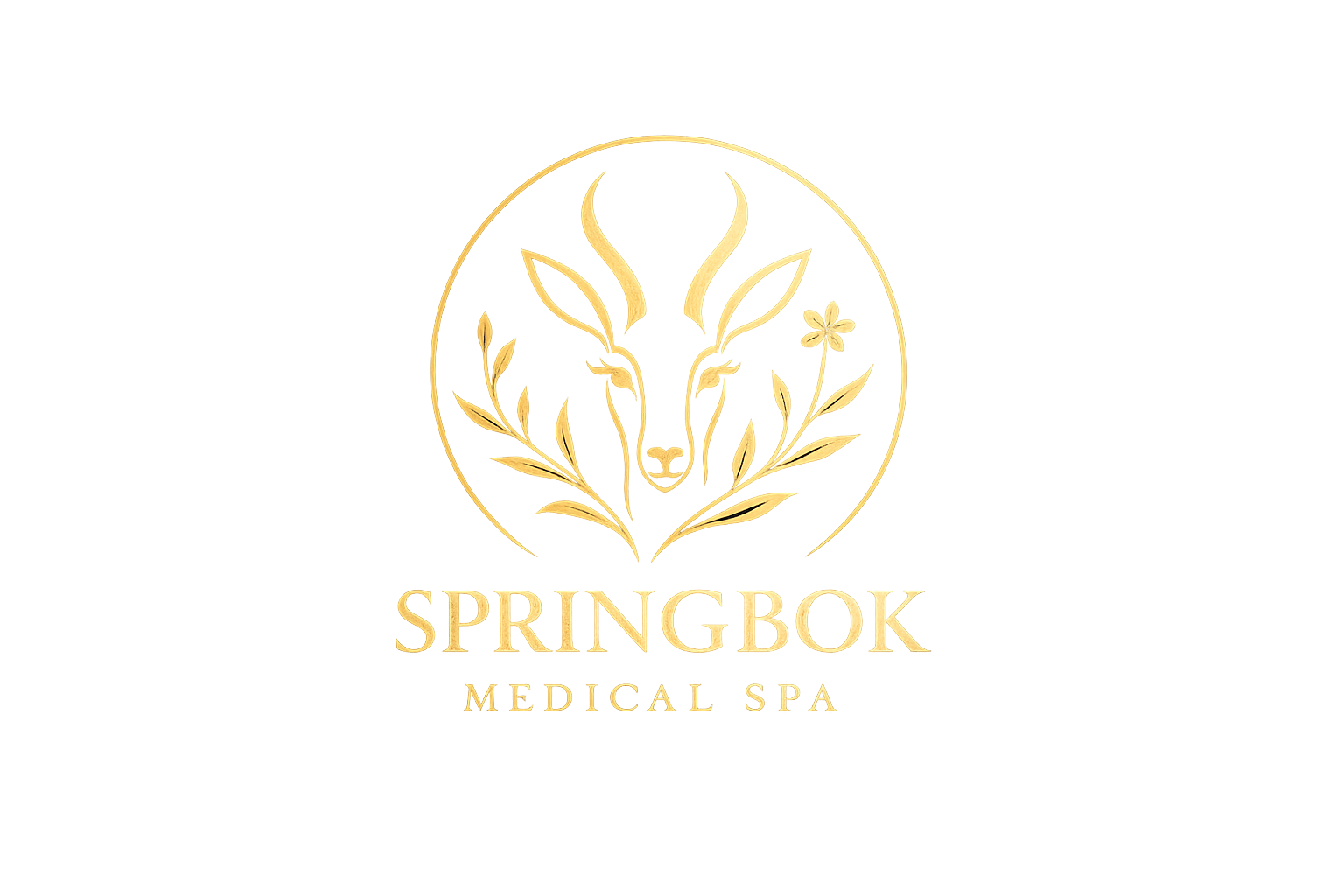 Springbok Medical Spa